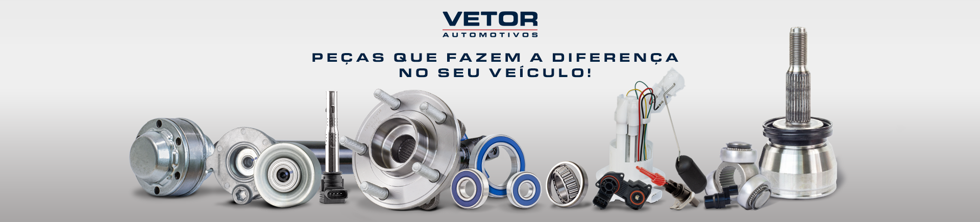 https://bhzpecas.com.br/VETOR - 23/11